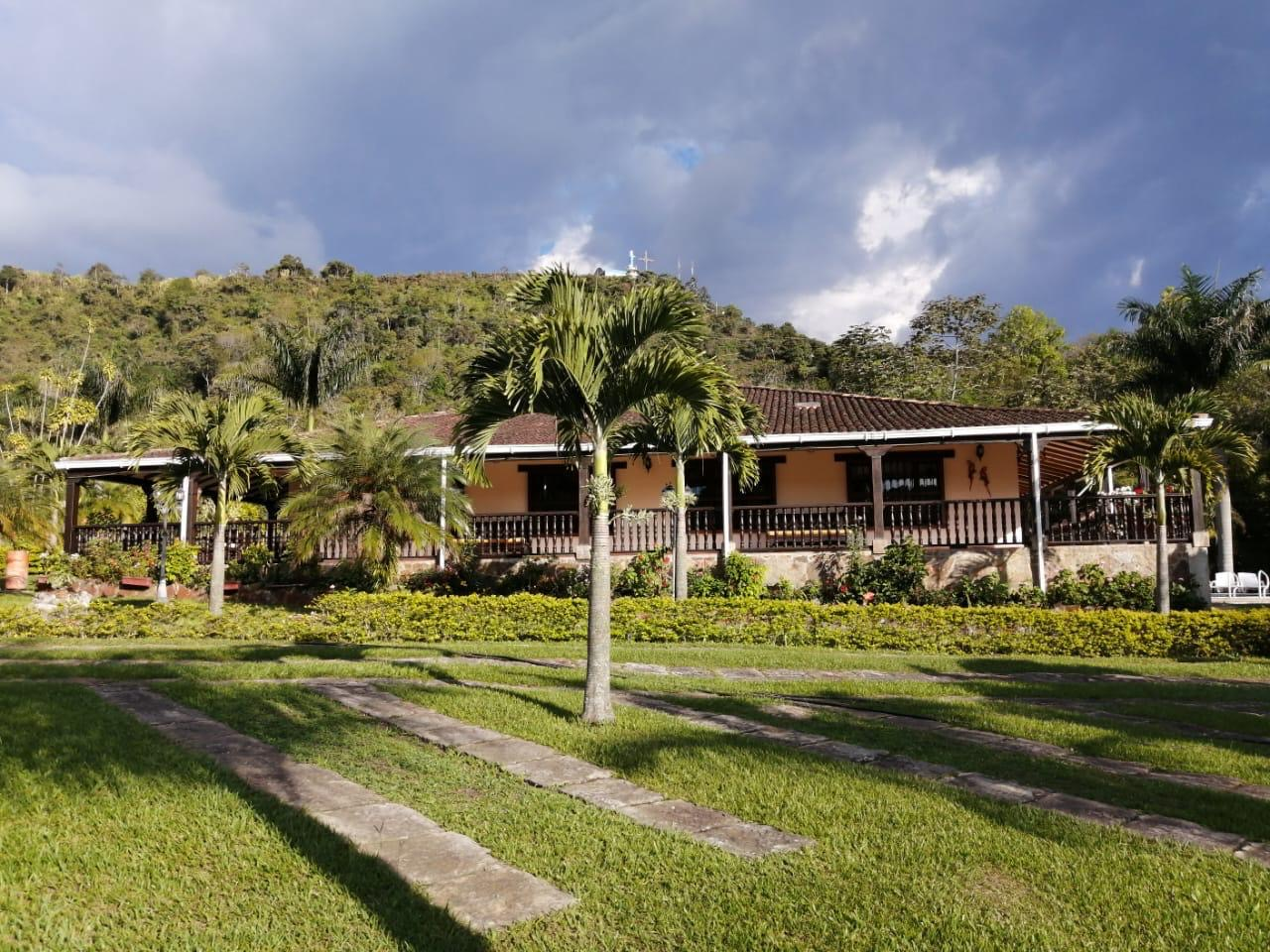 Jardines paisajísticos con palmeras �?